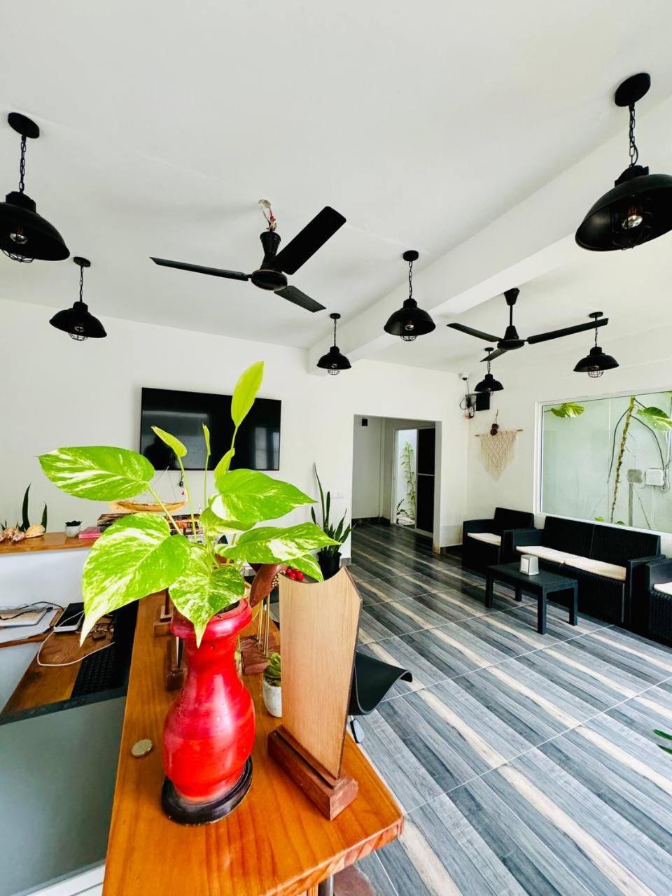 Ramzu Villa Thoddoo Dış mekan fotoğraf